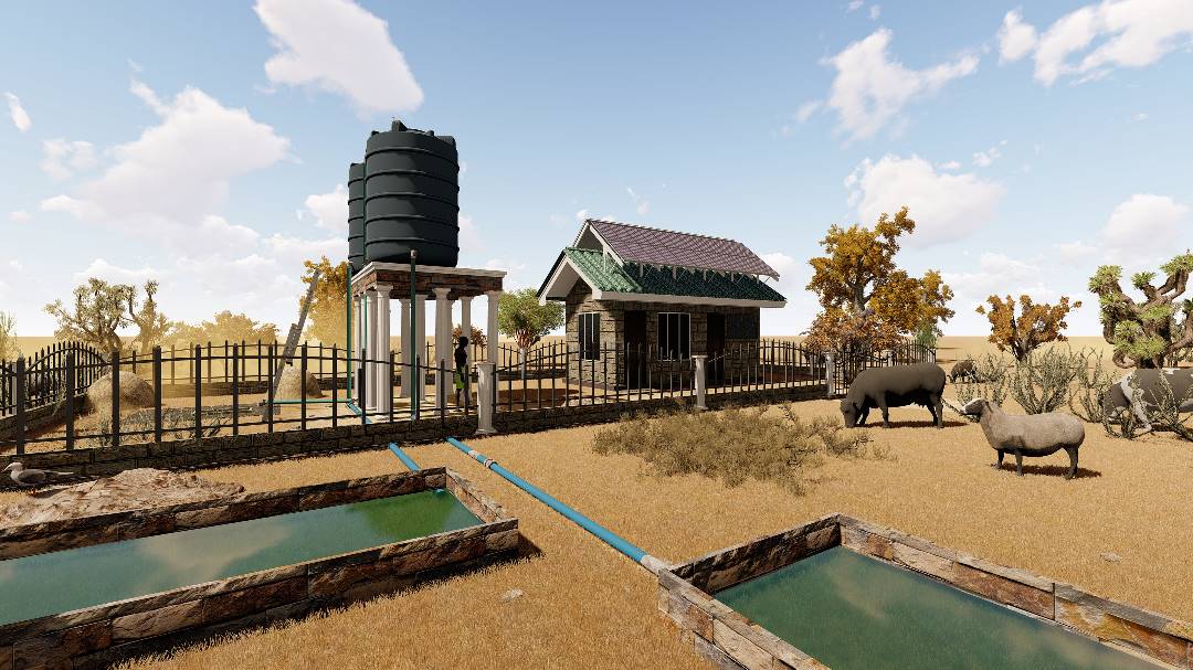 Quality Water & Sanitation